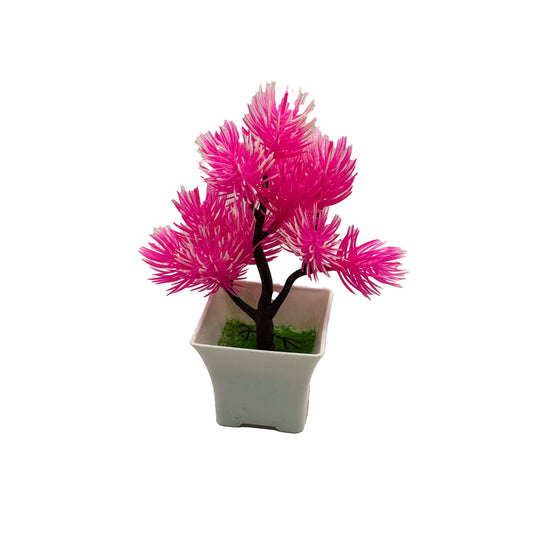 დეკორატიული მცენარე