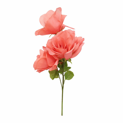 დეკორატიული ყვავილები