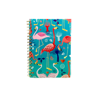 რვეულები და ბლოკნოტები